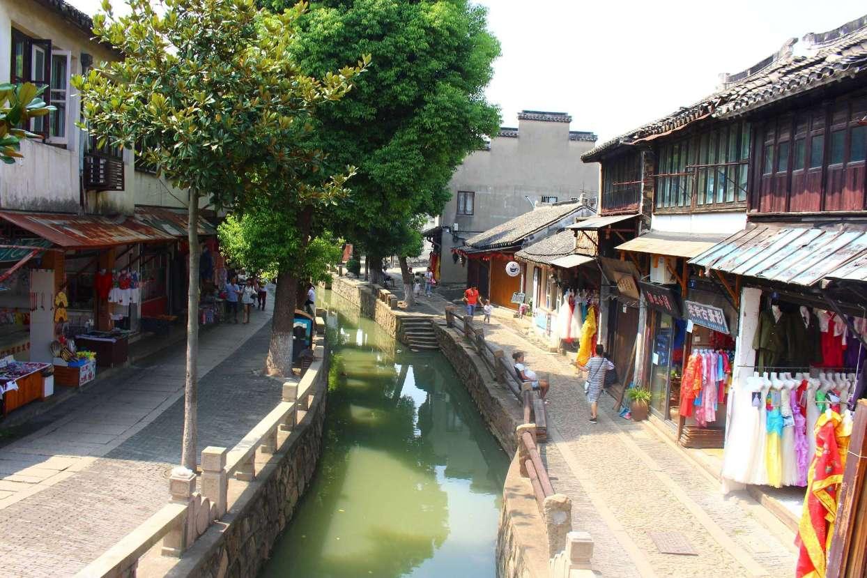 动物帮帮忙保卫家园